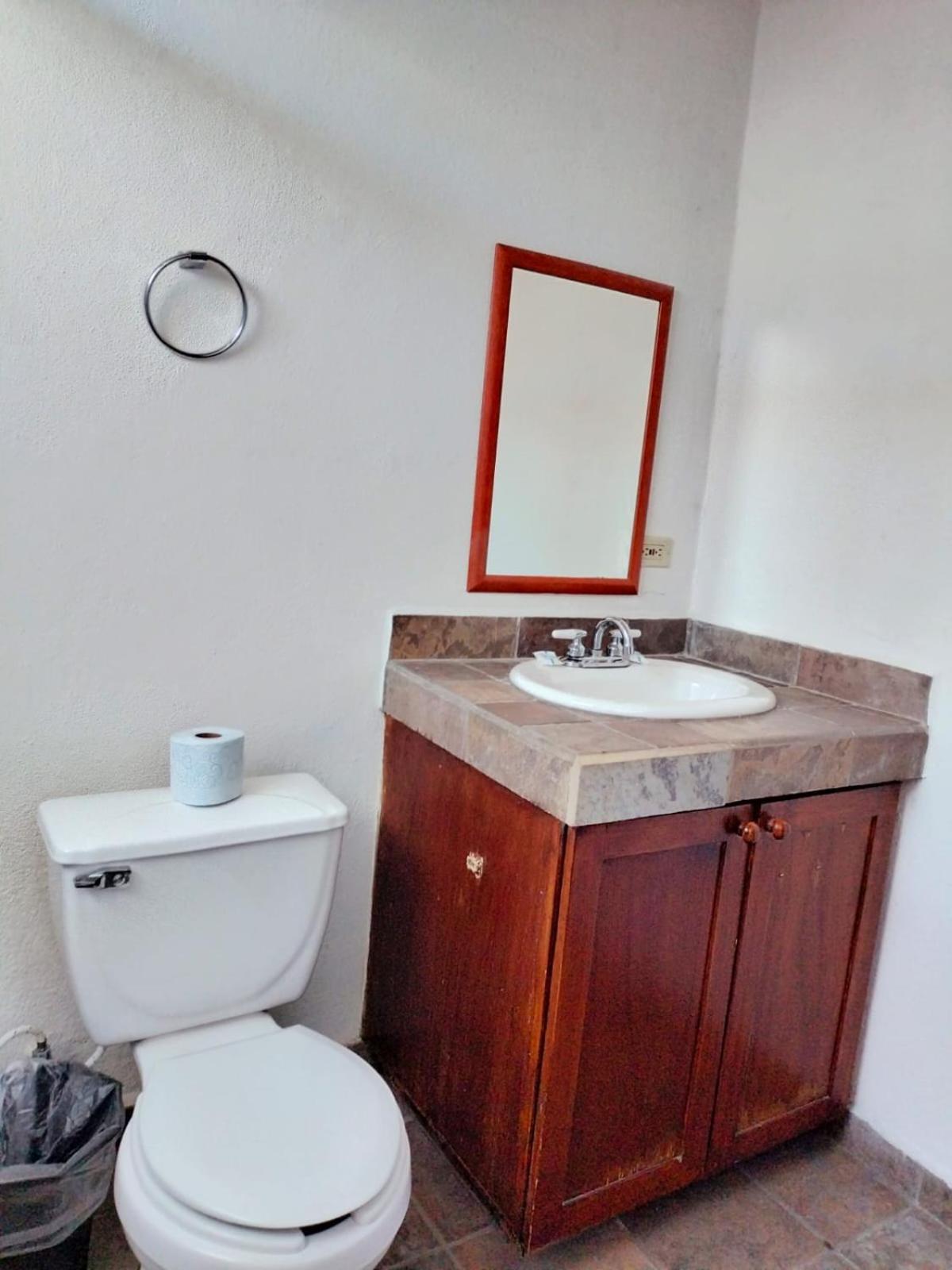 Hostal Las Quintas San Jose del Cabo Ngoại thất bức ảnh